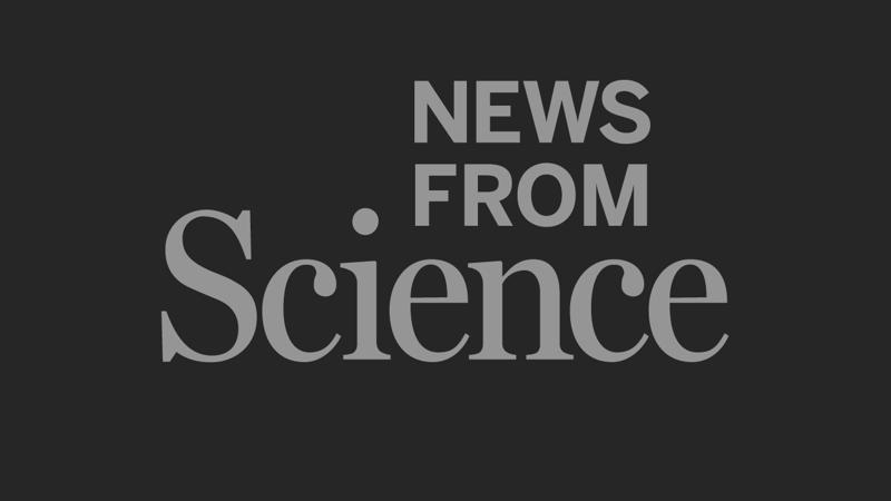 News at a glance: A new schizophrenia drug, AI guardrails, and saving nearly extinct species