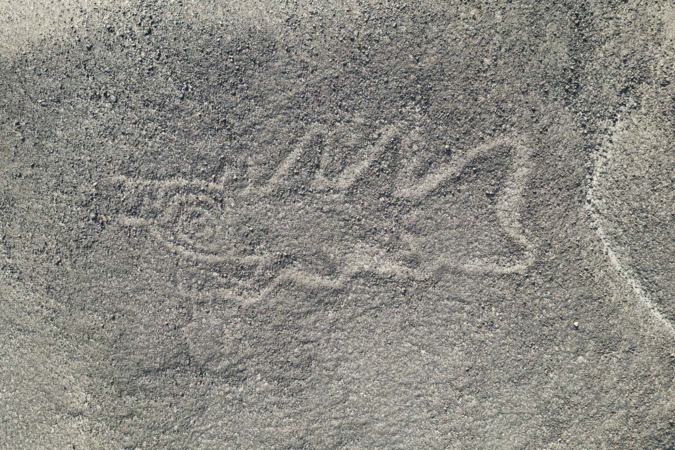 AI discovers hundreds of ancient Nazca drawings in Peruvian desert