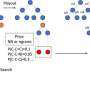 AI for drug discovery: DrugSynthMC to make finding new medication more efficient