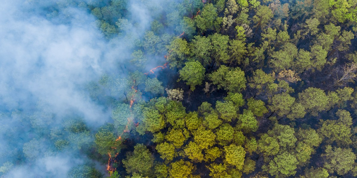 How AI can help spot wildfires