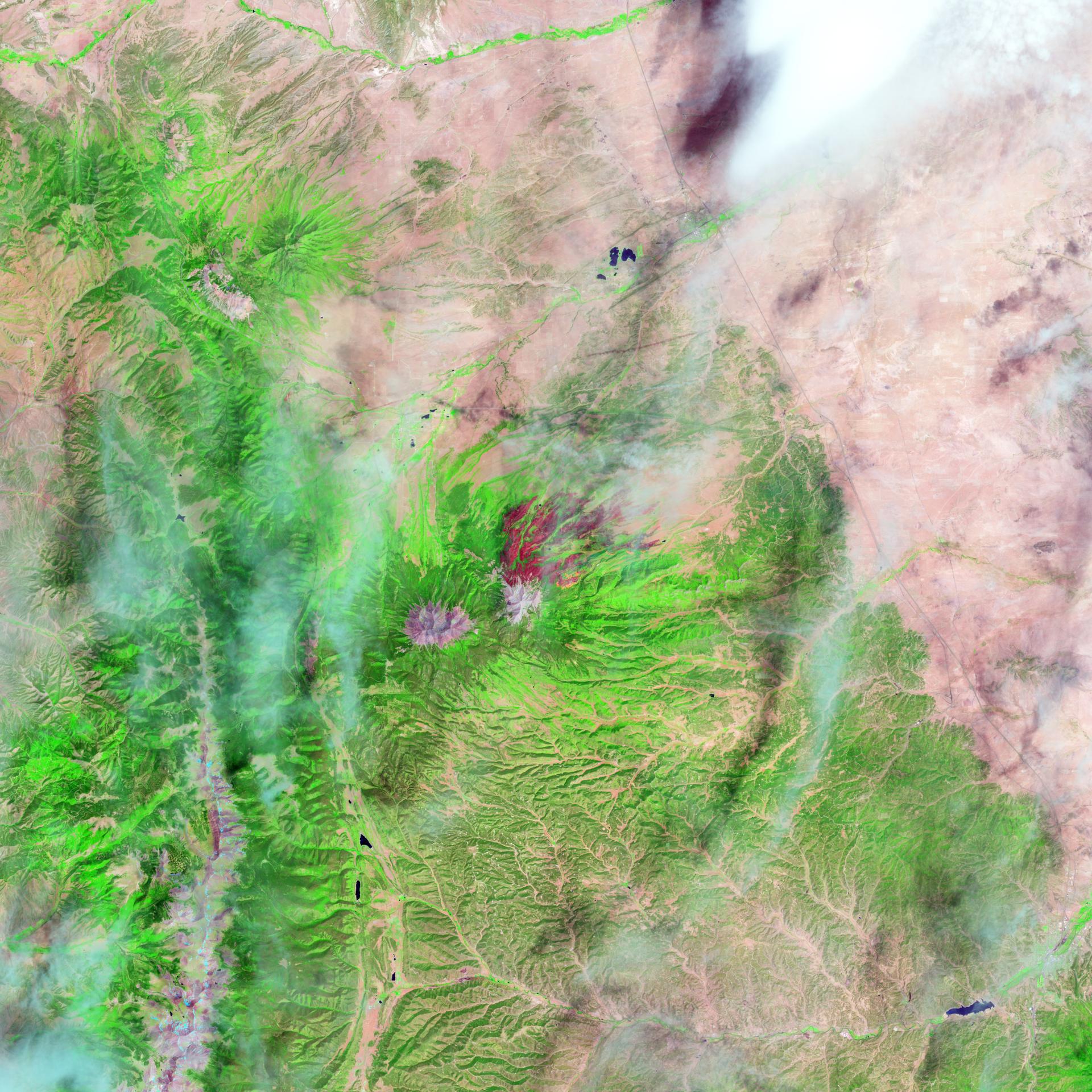 Expanded AI Model with Global Data Enhances Earth Science Applications