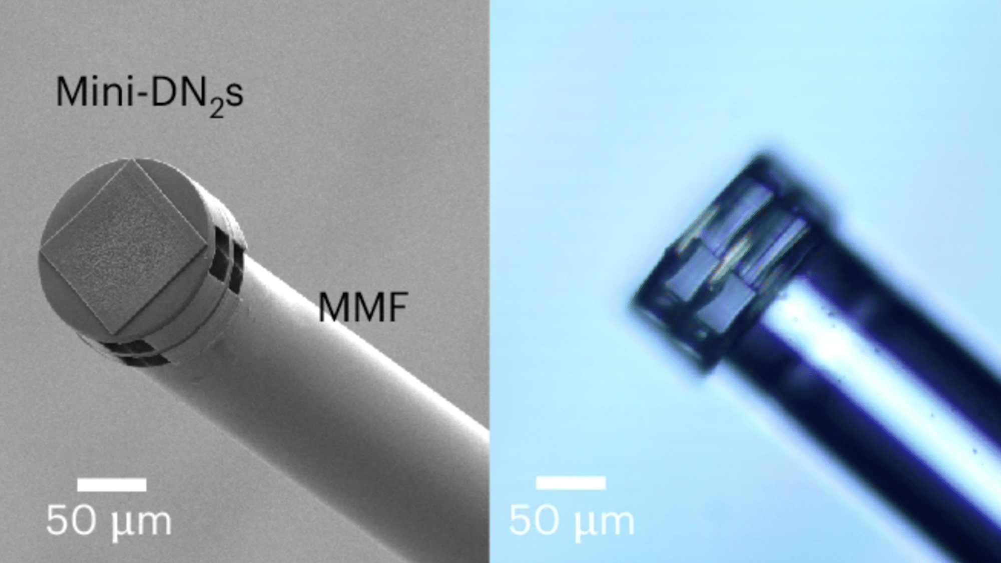 This AI chip is the size of a grain of salt